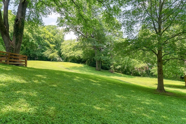 706 Washington Ave, Mount Pleasant, TN 38474 - photo 93
