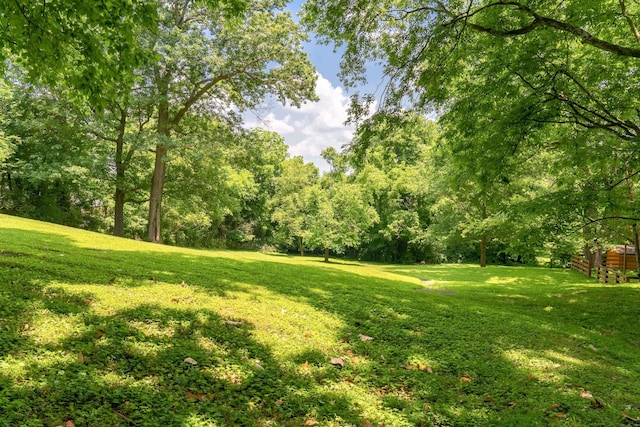 706 Washington Ave, Mount Pleasant, TN 38474 - photo 20