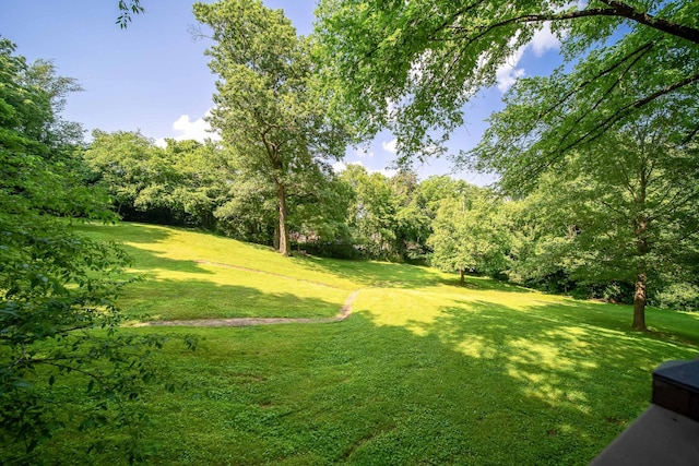706 Washington Ave, Mount Pleasant, TN 38474 - photo 94