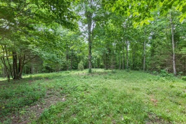 7925 Daugherty Capley Rd, Primm Springs, TN 38476 - photo 7