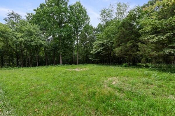 7925 Daugherty Capley Rd, Primm Springs, TN 38476 - photo 5
