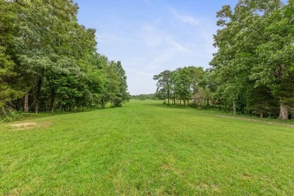 7925 Daugherty Capley Rd, Primm Springs, TN 38476 - photo 1