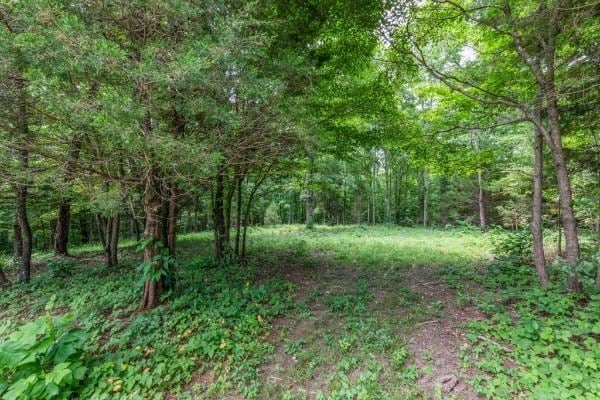 7925 Daugherty Capley Rd, Primm Springs, TN 38476 - photo 8