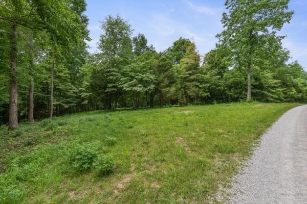 7925 Daugherty Capley Rd, Primm Springs, TN 38476 - photo 3