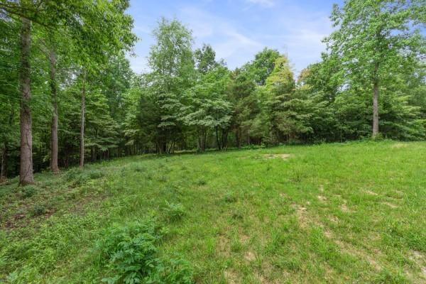 7925 Daugherty Capley Rd, Primm Springs, TN 38476 - photo 6
