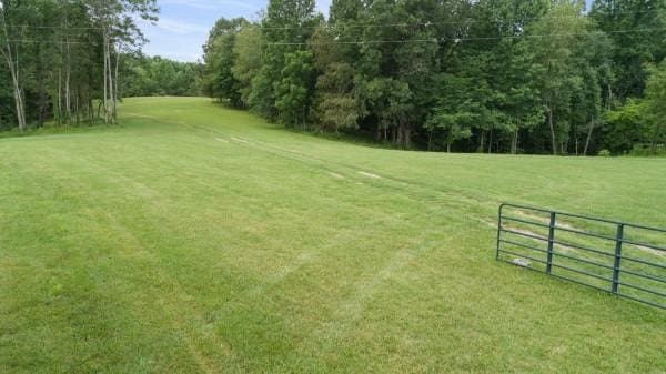 7925 Daugherty Capley Rd, Primm Springs, TN 38476 - photo 2