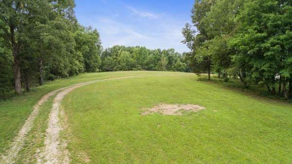 7925 Daugherty Capley Rd, Primm Springs, TN 38476 - photo 10
