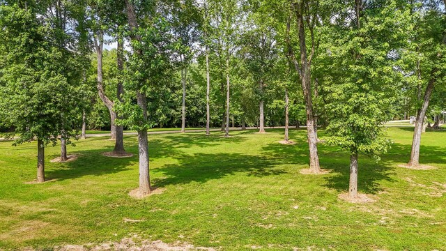 1820 Pinhook Rd, Savannah, TN 38372 - photo 36