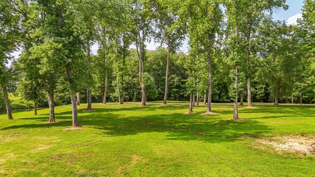 1820 Pinhook Rd, Savannah, TN 38372 - photo 31