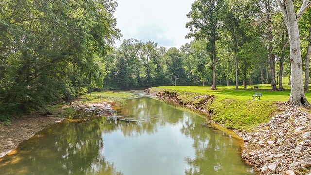 1820 Pinhook Rd, Savannah, TN 38372 - photo 21