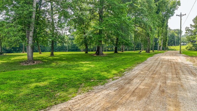 1820 Pinhook Rd, Savannah, TN 38372 - photo 25