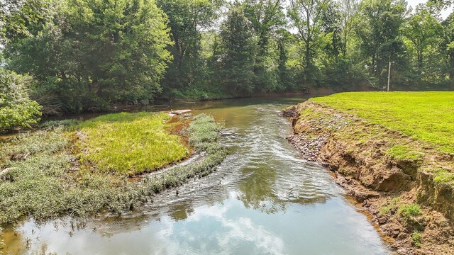 1820 Pinhook Rd, Savannah, TN 38372 - photo 28