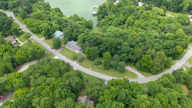 366 Huffman Park Rd, Lynchburg, TN 37352 - aerial overview of property's location featuring a forest