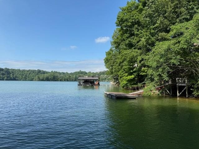 366 Huffman Park Rd, Lynchburg, TN 37352 - water view featuring a floating dock and a forest