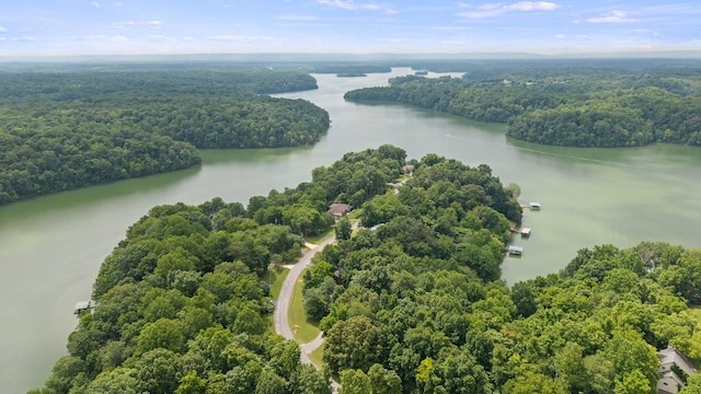 366 Huffman Park Rd, Lynchburg, TN 37352 - aerial view of a forest and a nearby body of water