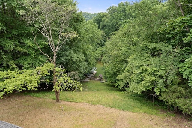 366 Huffman Park Rd, Lynchburg, TN 37352 - view of yard
