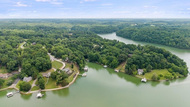 366 Huffman Park Rd, Lynchburg, TN 37352 - aerial view of a large body of water and a forest