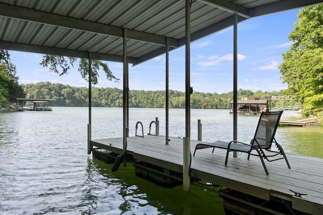 366 Huffman Park Rd, Lynchburg, TN 37352 - dock area with a water view and a forest view