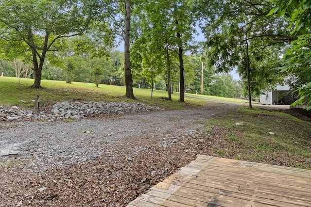 366 Huffman Park Rd, Lynchburg, TN 37352 - view of grassy yard with driveway and view of scattered trees