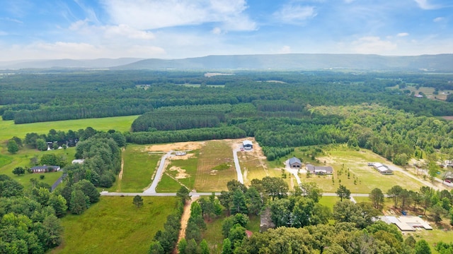 3223 Hickerson Rd, Manchester, TN 37355 - photo 11