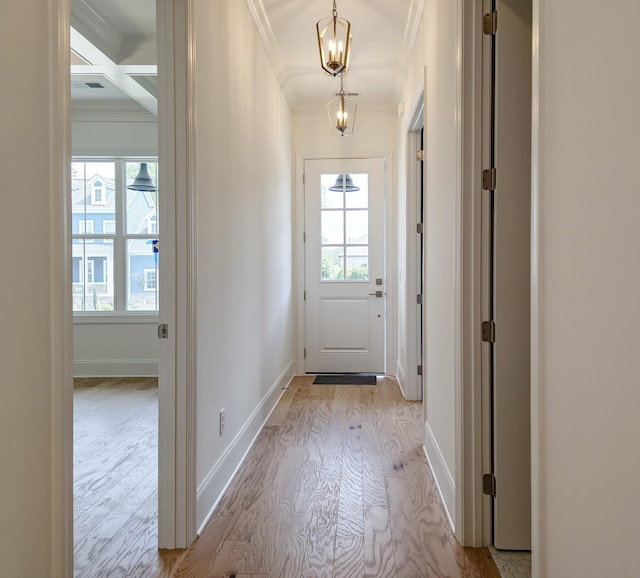 7115 Frances St, Fairview, TN 37062 - entryway with crown molding, healthy amount of natural light, wood finished floors, and baseboards