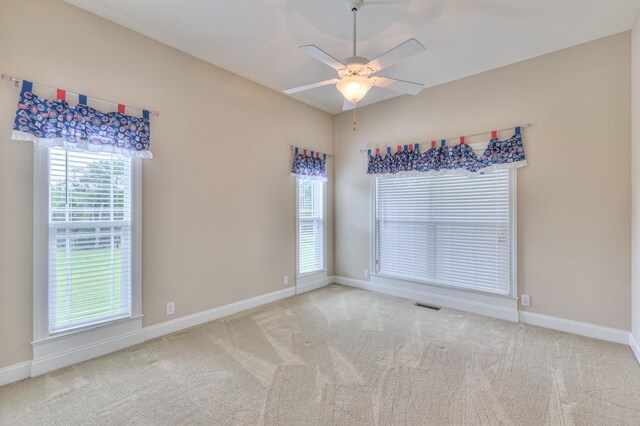 3660 Murray Kittrell Rd, Readyville, TN 37149 - photo 17