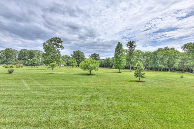 3660 Murray Kittrell Rd, Readyville, TN 37149 - photo 39