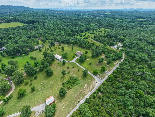 3660 Murray Kittrell Rd, Readyville, TN 37149 - photo 46