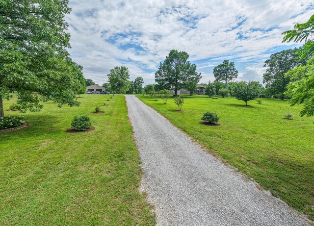 3660 Murray Kittrell Rd, Readyville, TN 37149 - photo 48