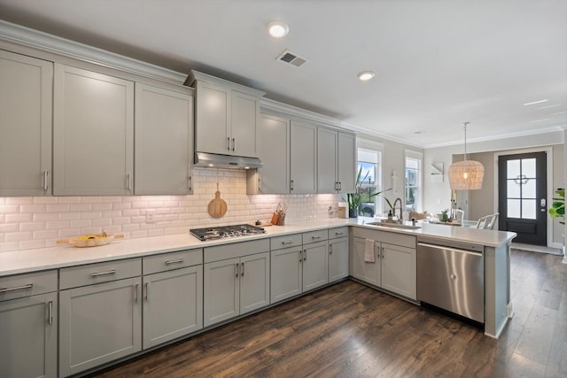 3204 Vinemont Dr, Thompsons Station, TN 37179 - kitchen featuring stainless steel appliances, gray cabinetry, a sink, a peninsula, and crown molding