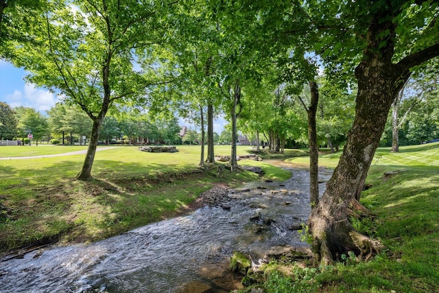 3204 Vinemont Dr, Thompsons Station, TN 37179 - view of green lawn featuring view of wooded area