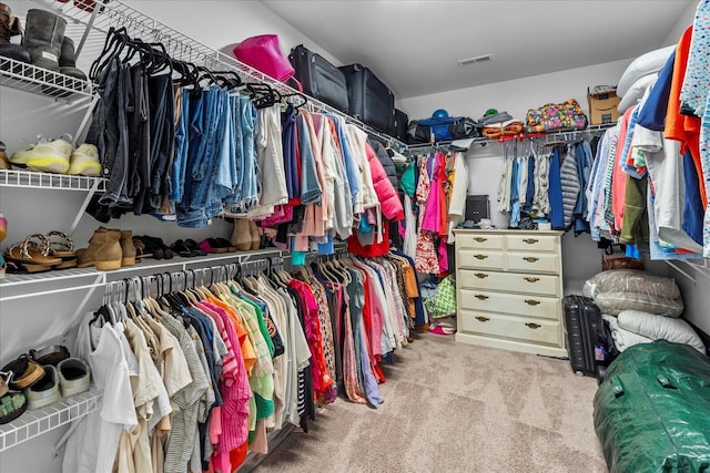 6022 Somerhaven Trl, Hixson, TN 37343 - spacious closet featuring carpet