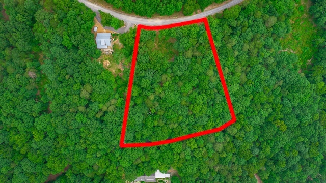 237 County Road 844, Mentone, AL 35984 - photo 2