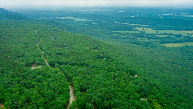 237 County Road 844, Mentone, AL 35984 - photo 11