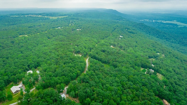 237 County Road 844, Mentone, AL 35984 - photo 18