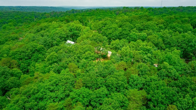 237 County Road 844, Mentone, AL 35984 - photo 13