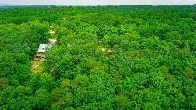 237 County Road 844, Mentone, AL 35984 - photo 12