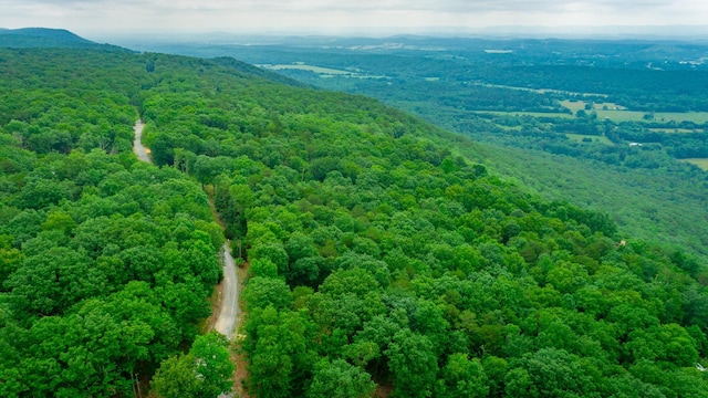 237 County Road 844, Mentone, AL 35984 - photo 4