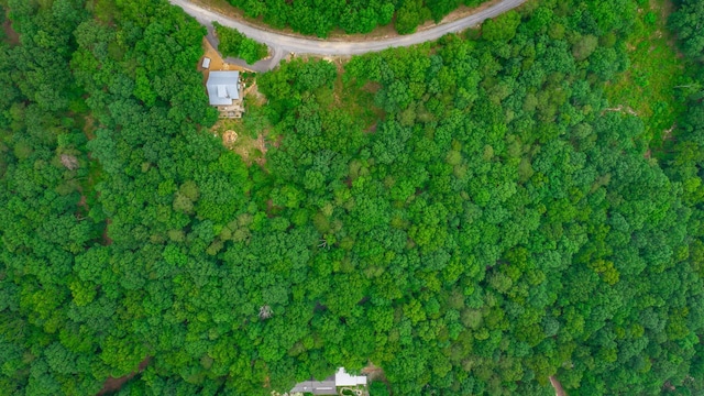 237 County Road 844, Mentone, AL 35984 - photo 9