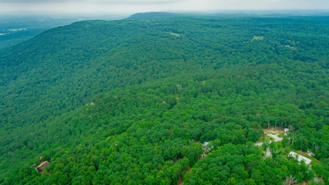 237 County Road 844, Mentone, AL 35984 - photo 21
