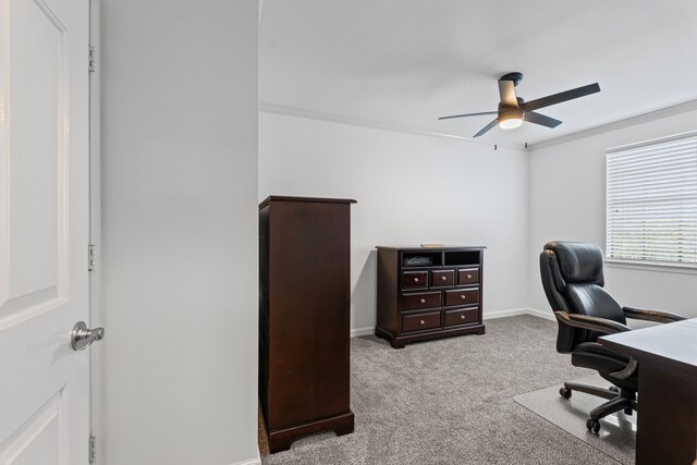 840 General George Patton Rd, Nashville, TN 37221 - photo 31