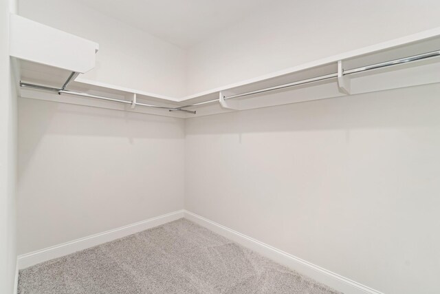 7321 Katherine Ct, Fairview, TN 37062 - walk in closet with carpet