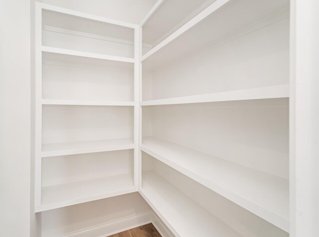 7317 Katherine Ct, Fairview, TN 37062 - view of storage area
