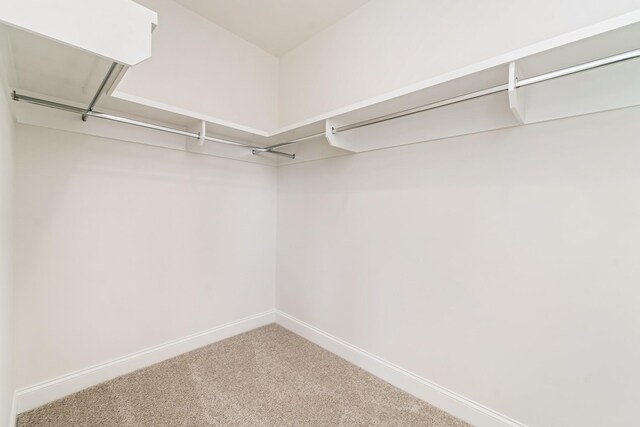 7317 Katherine Ct, Fairview, TN 37062 - spacious closet featuring carpet flooring
