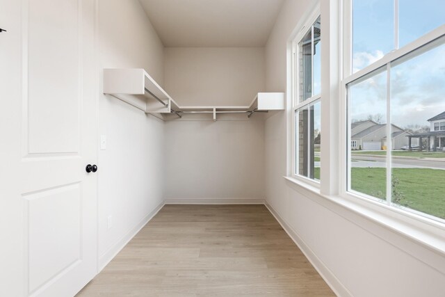 7406 Black Fox Dr, Fairview, TN 37062 - spacious closet with light wood finished floors