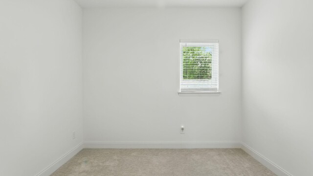 2722 Bramblewood Ln, Thompsons Station, TN 37179 - photo 25