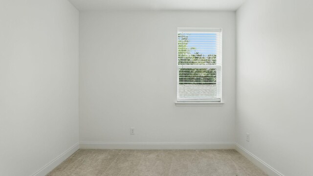 2722 Bramblewood Ln, Thompsons Station, TN 37179 - photo 27