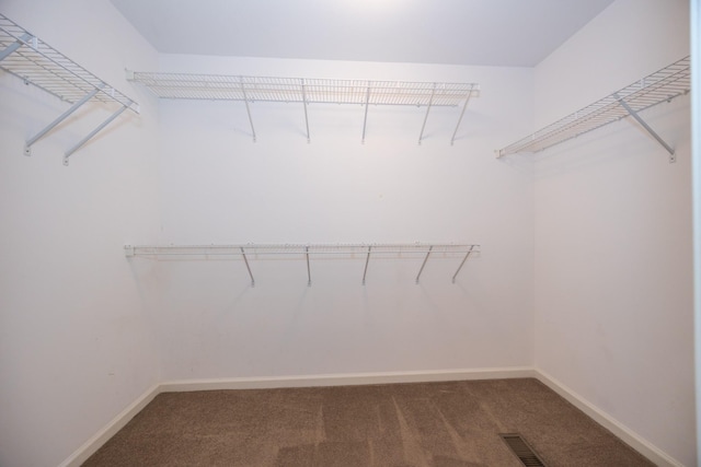 1905 Bugle Ct, Spring Hill, TN 37174 - spacious closet with carpet