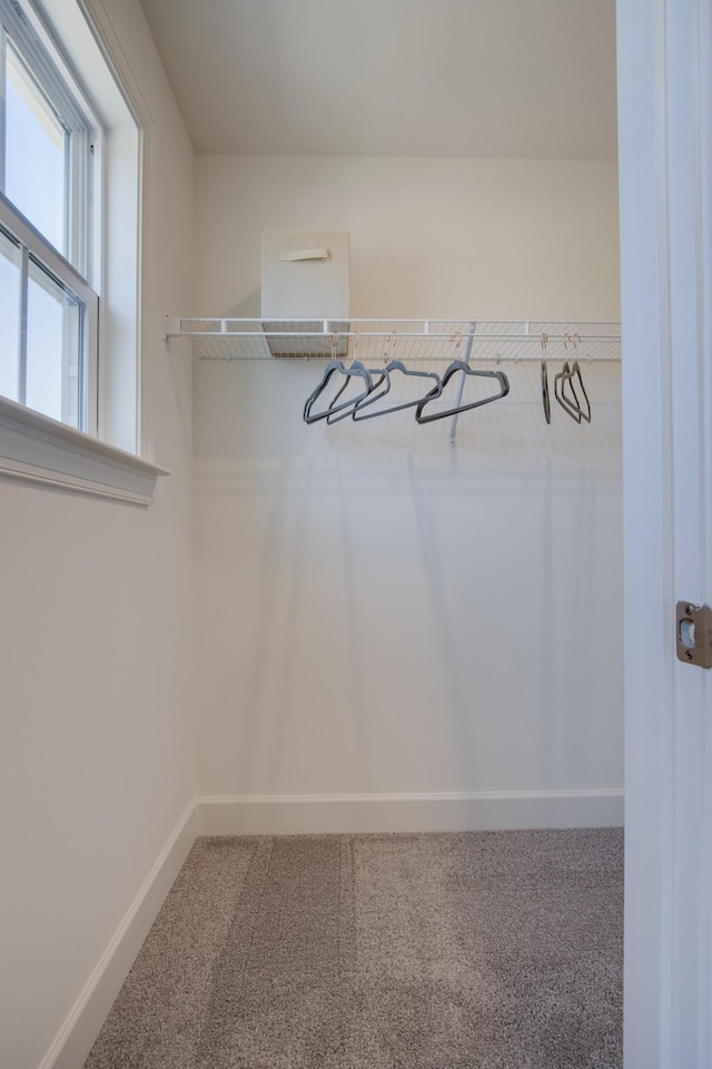 5220 Gladecress Ln NE, Hermitage, TN 37076 - walk in closet featuring carpet floors