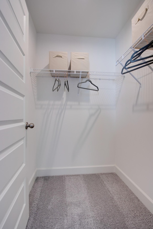5220 Gladecress Ln NE, Hermitage, TN 37076 - walk in closet with carpet